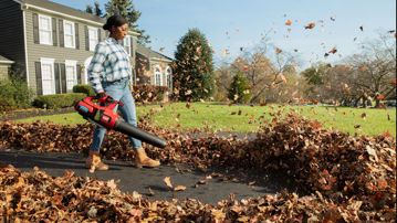 51881 TORO Cordless Trimmer and Blower Combo Kit  Large Selection at Power  Equipment Warehouse. Power Equipment Warehouse